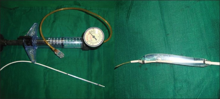 Raise Funds For Clean & Healthy Food It is a long established fact that a reader